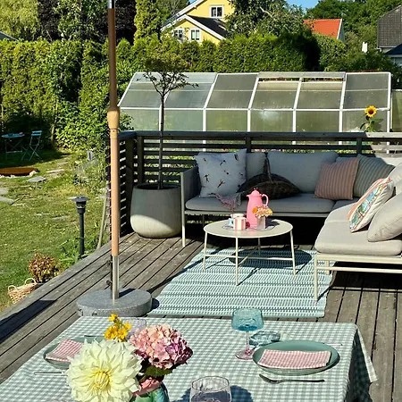 Colourful With Lush Garden On Jeloy Moss