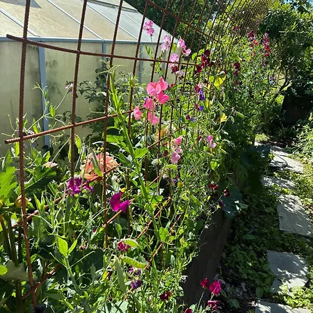 Colourful With Lush Garden On Jeloy * Moss